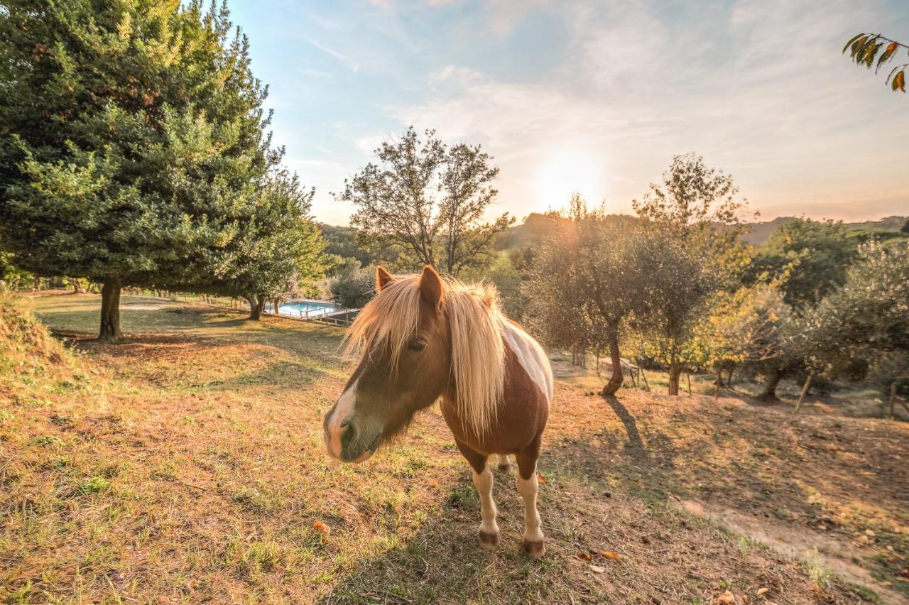 Alpaca Country House بونتيديرا المظهر الخارجي الصورة